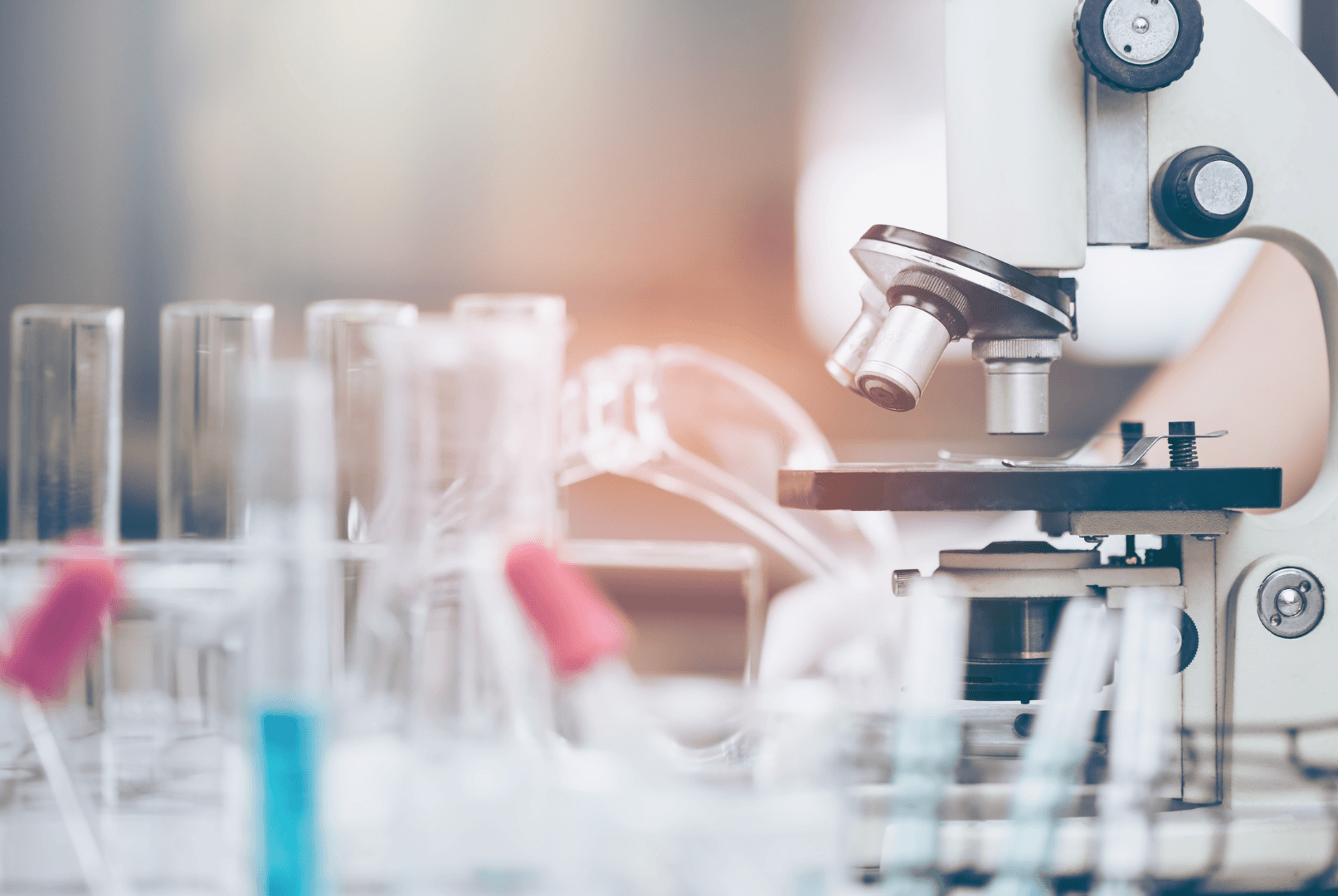 lab